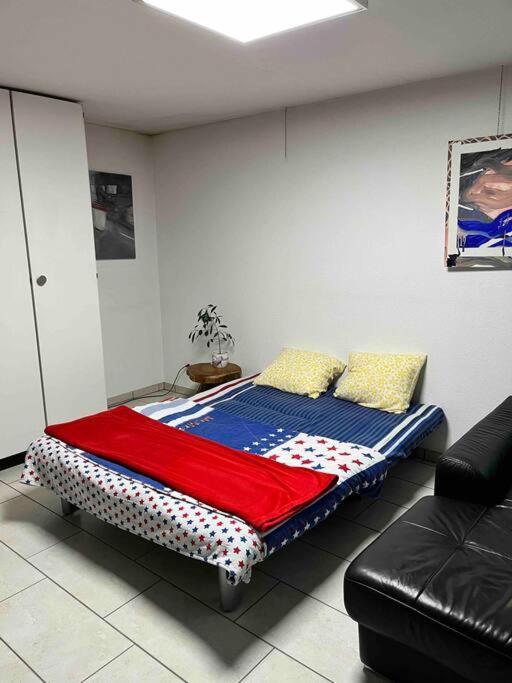 Basel - 5 Mins Away - Modern Basement Studio With Kitchen 35M2 In Мутенц Екстериор снимка