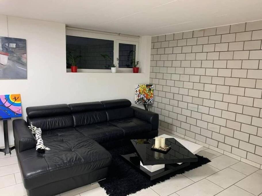 Basel - 5 Mins Away - Modern Basement Studio With Kitchen 35M2 In Мутенц Екстериор снимка